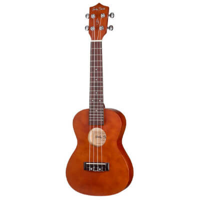 Ukulele for beginners